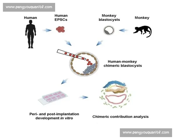 围绕舍比赛探索团队协作精神与创新实践路径研究发展策略分析探讨