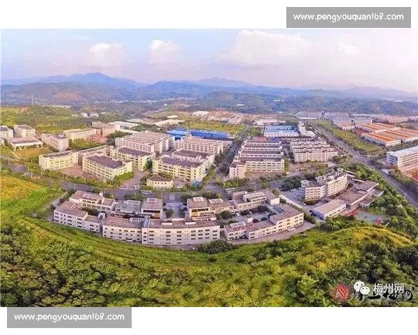 围绕竞技博弈精神展开的新时代安全公平赌赛探索之路全面实践新章